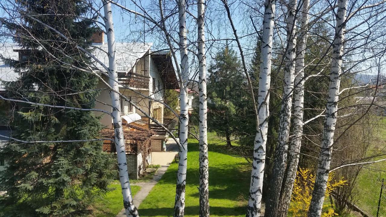 Pod Brzozami Swinna